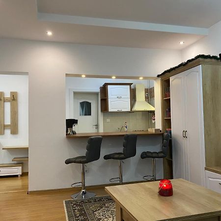 Tampa Hill Residence Брашов Экстерьер фото